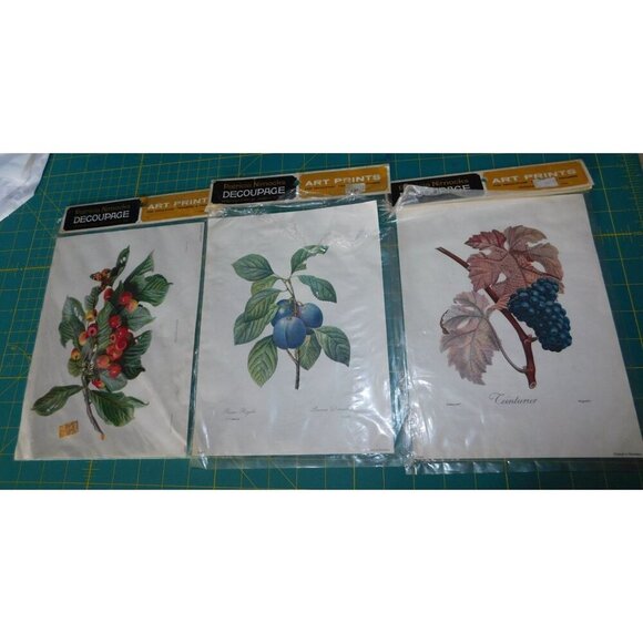 Patricia Nimocks Decoupage Art Prints Vintage Botanical  fruit  mixed Set of 9 - Picture 2 of 3